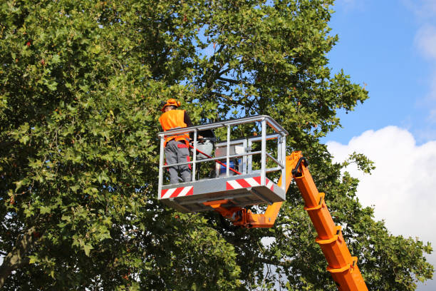 Best Pest Control for Lawns  in Vero Beach South, FL