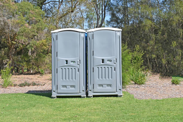 Best Lawn Drainage Solutions  in Vero Beach South, FL